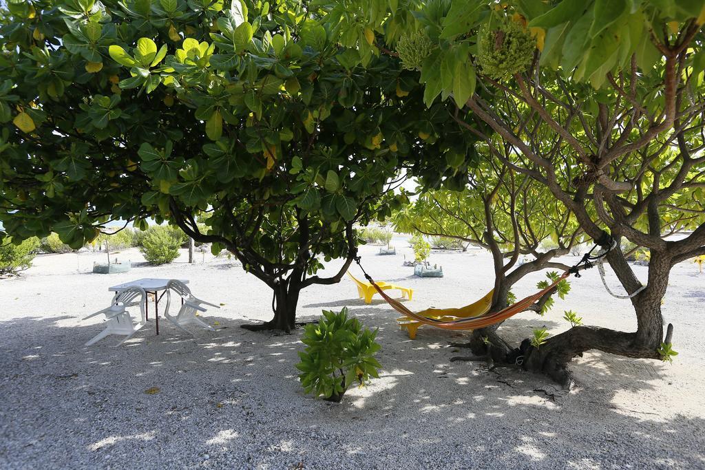 Hakamanu Lodge Tikehau Esterno foto