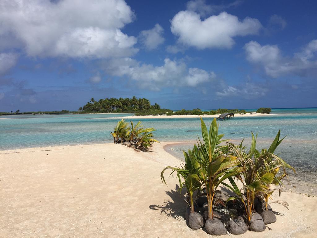 Hakamanu Lodge Tikehau Esterno foto